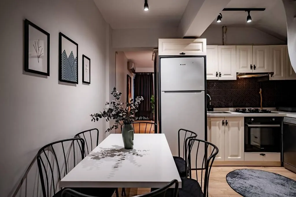 Spacious And Stylish 3Br W Private Garden Istanbul